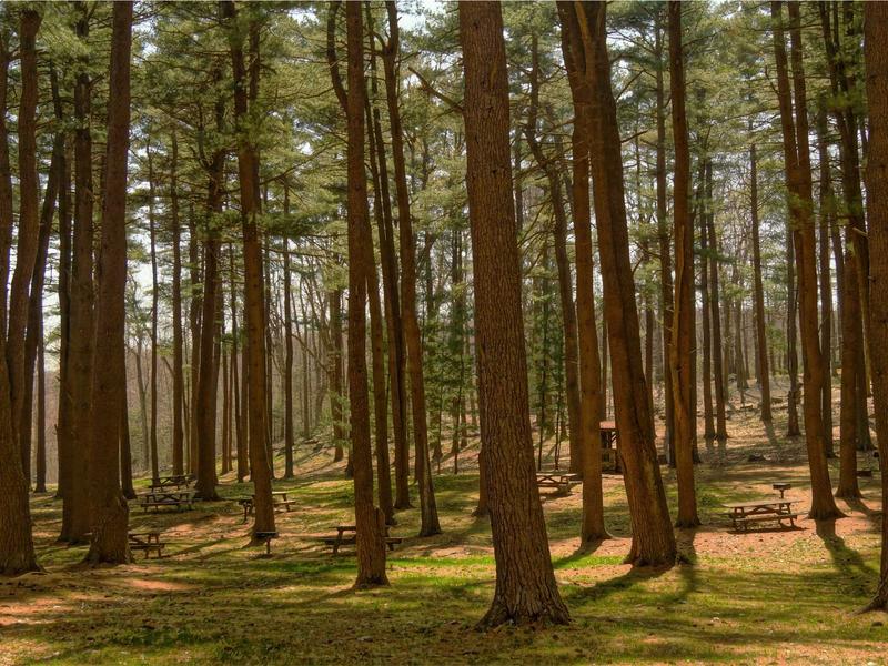 sudoku cooperative play screenshot 5